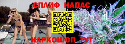 прущие крисы Будённовск