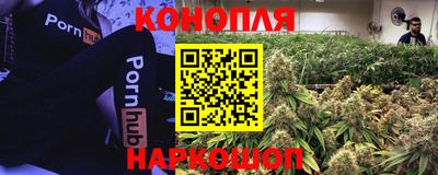 прущие крисы Будённовск