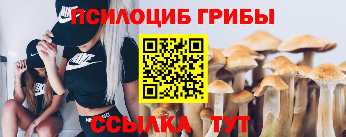Галлюциногенные грибы прущие грибы Туймазы